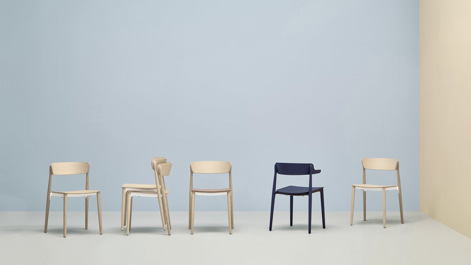 Sedia design Nemea di Pedrali in frassino