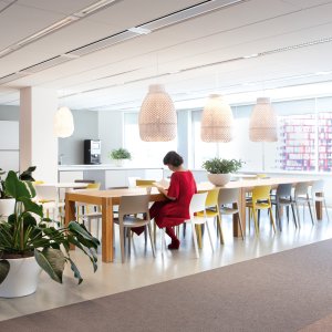 Sedie design di Arper: la collezione Juno 02