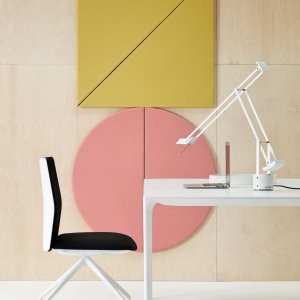 Kinesit in un home office