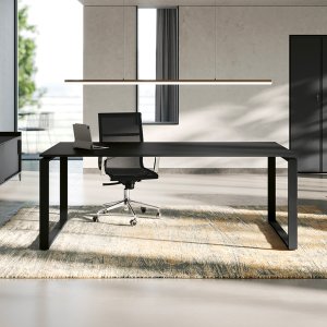 Elemento 30° dei mobili di servizio Loft