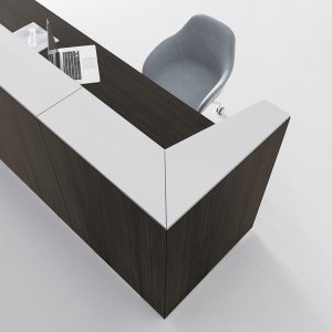 Top d'accettazione in terra d'ombra su bancone Qubo DVO Office