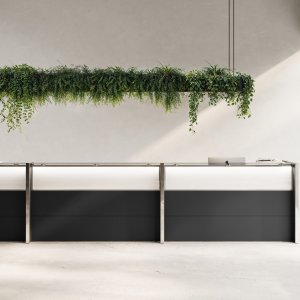Mensola in vetro temperato del bancone reception Nice su supporti torniti in acciaio inox