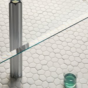 Dettaglio dell'elemento Seed esagonale di Botanica